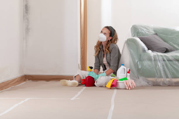 Reliable Mold Cleanup contractor in McHenry, MD by WQB Mold Removal